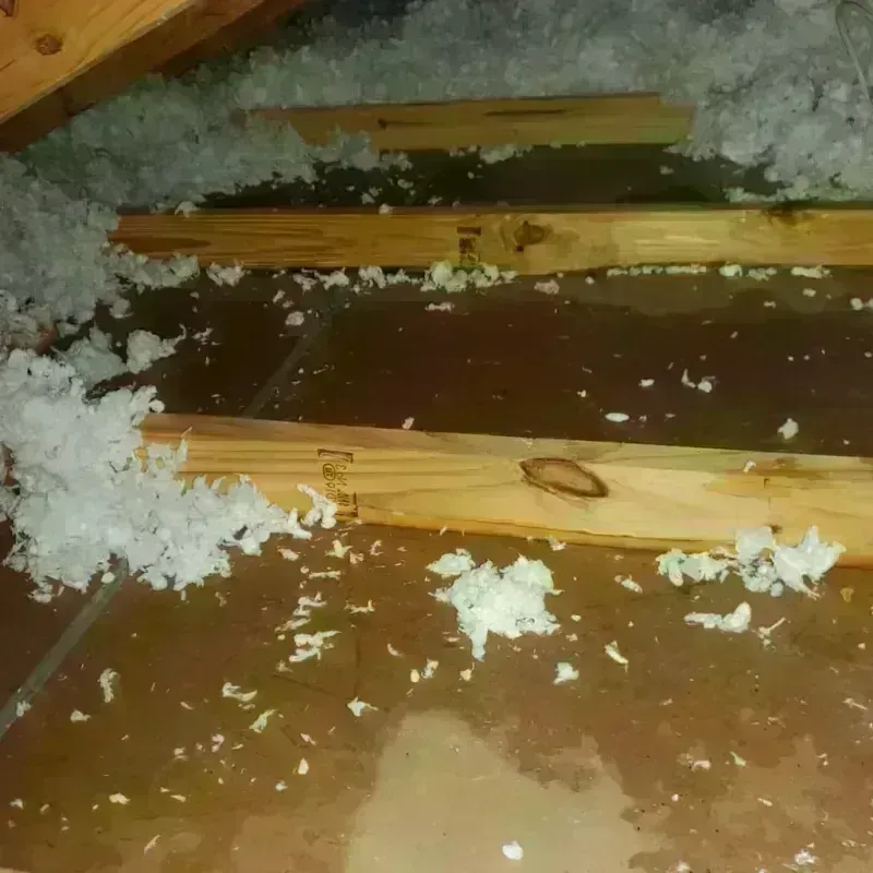 Attic Water Damage in Perry County, AL